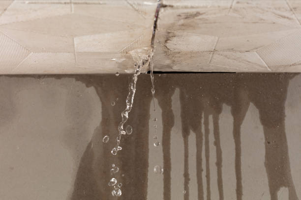 Professional Flood Damage Cleanup technician working in Papillion, NE